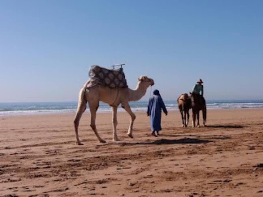 A2 Maison Blanche Imi Ouaddar * Agadir
